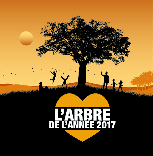 L’IF-IGLOO DE GERBEROY(OISE) : ARBRE DE L’ANNEE 2017