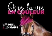 COUP D’ENVOI DU MEETING D’HIVER A L’HIPPODROME DE LA CÔTE D’AZUR
