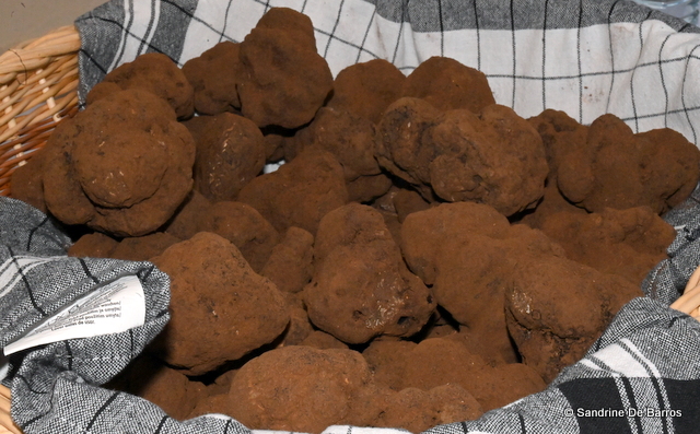 Truffes fraîches du terroir présentées dans un panier en osier pour le Marché de la Truffe de Grasse et du Rouret